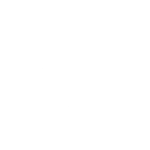 UAV Logo